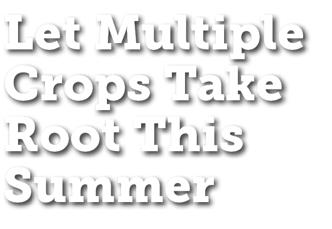 Let Multiple Crops Take Root This Summer