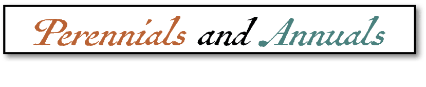 Perennials and Annuals