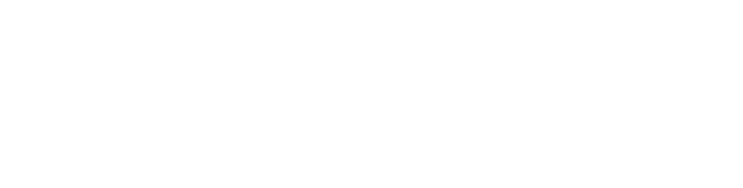 Valais Blacknose Sheep in the USA