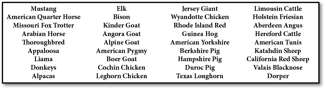 Mustang American Quarter Horse Missouri Fox Trotter Arabian Horse Thoroughbred Appaloosa Liama Donkeys Alpacas Elk Bi...