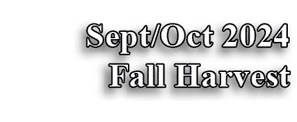 Sept/Oct 2024 Fall Harvest