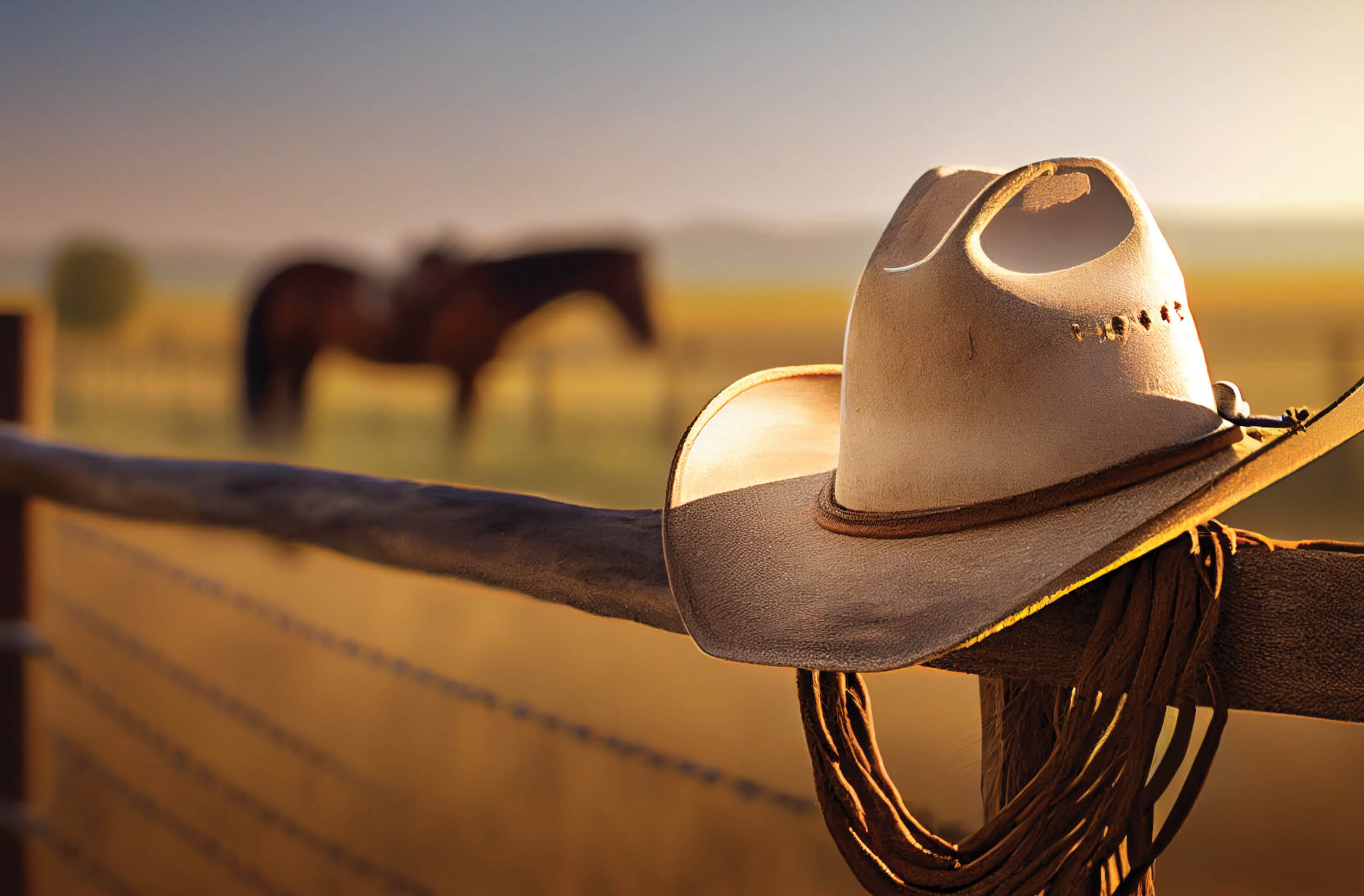 A cowboy hat and lasso hang from the ranch's wooden fence. AI generated.