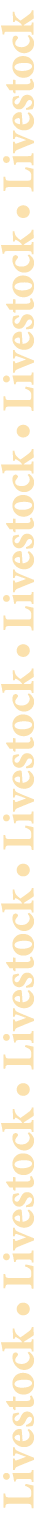 Livestock • Livestock • Livestock • Livestock • Livestock • Livestock • Livestock