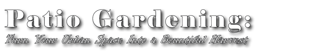 Patio Gardening: Turn Your Urban Space Into a Bountiful Harvest 