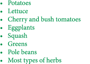 • Potatoes • Lettuce • Cherry and bush tomatoes • Eggplants • Squash • Greens • Pole beans • Most types of herbs