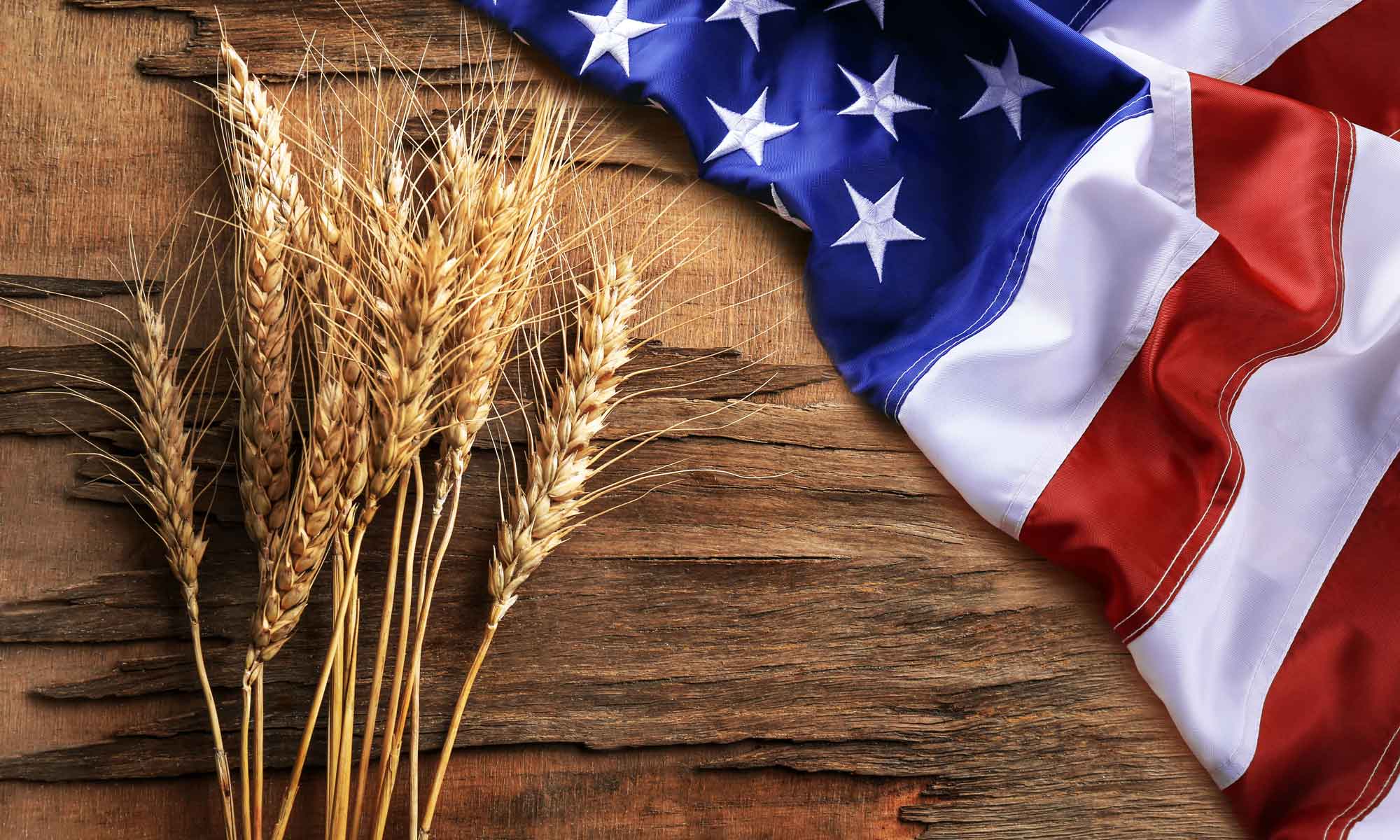 American Farming Publications background